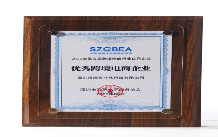  2022 Excellent cross-border e-commerce enterprise