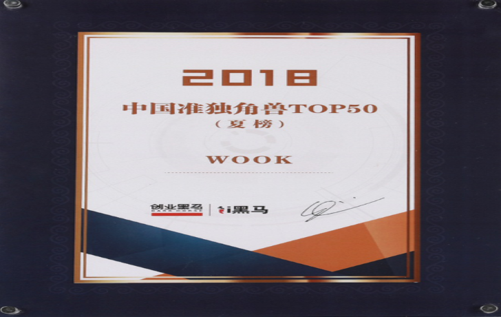 TOP 50 Unicorn của Trung Quốc 2018