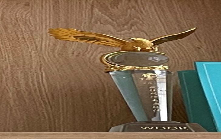 Đối tác thương mại điện tử xuyên biên giới tốt nhất 2017